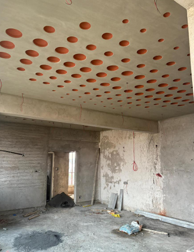 Green Roof Experiment